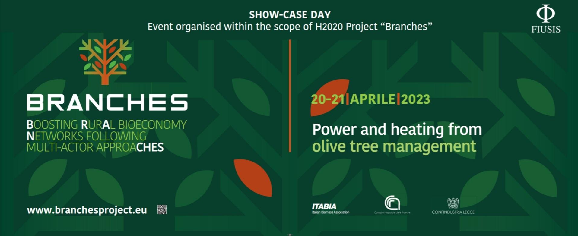 Here the FINAL PROGRAMME of the event: "POWER AND HEATING FROM OLIVE TREE PRUNING"