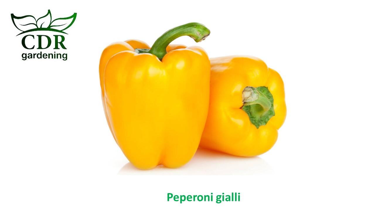 Peperoni gialli