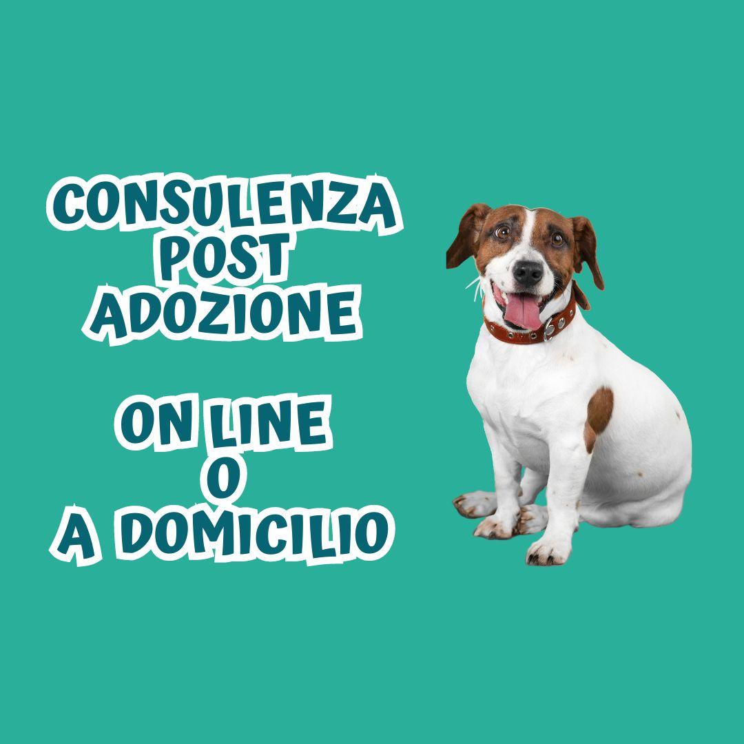 CONSULENZA POST ADOZIONE ON LINE O A DOMICILIO