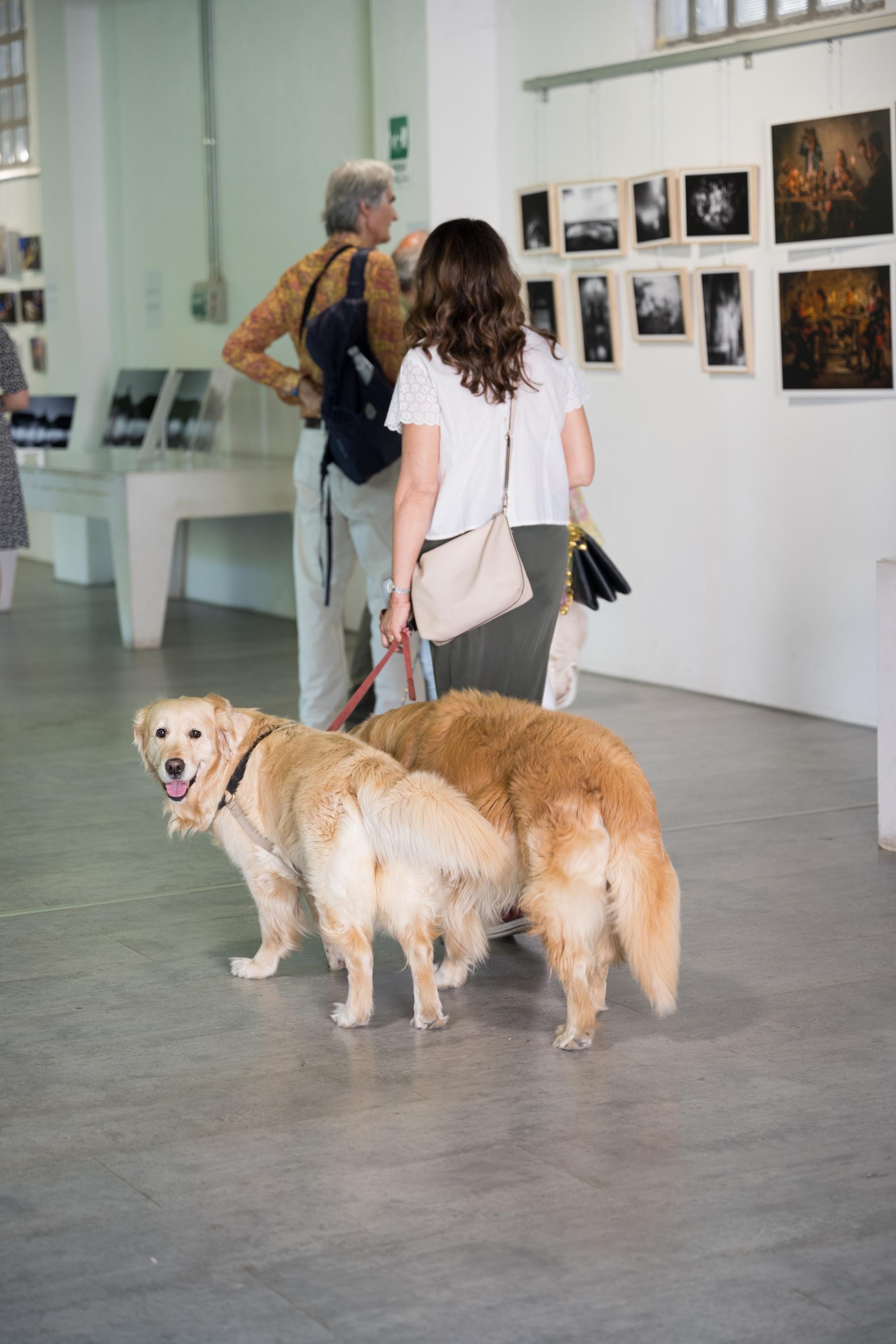 Mostra Sala Nagasawa