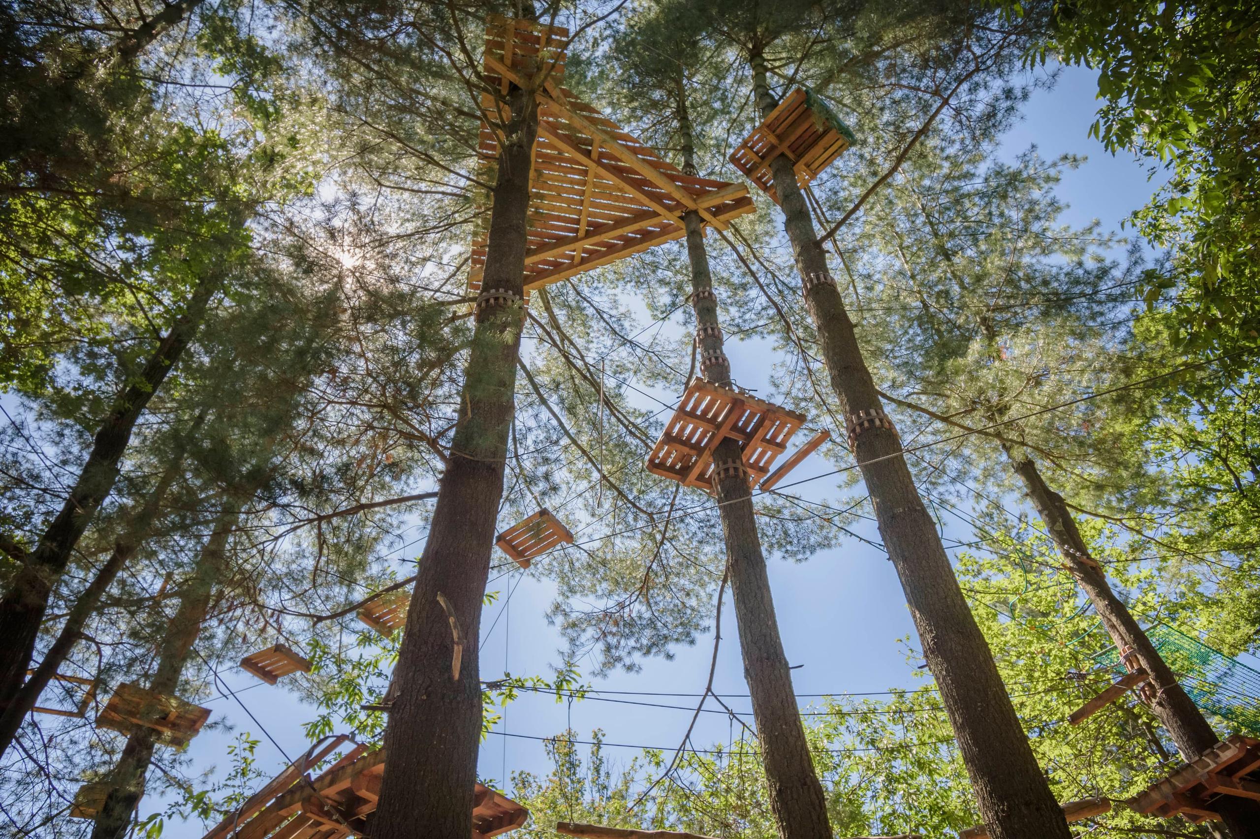 Foto di proprietà dell'Adventure Park Lago d'Orta LE PIGNE