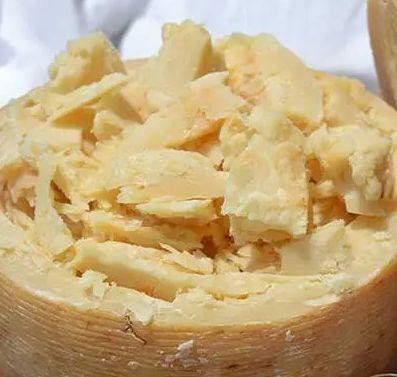 formaggio pecorino crotonese RISERVA