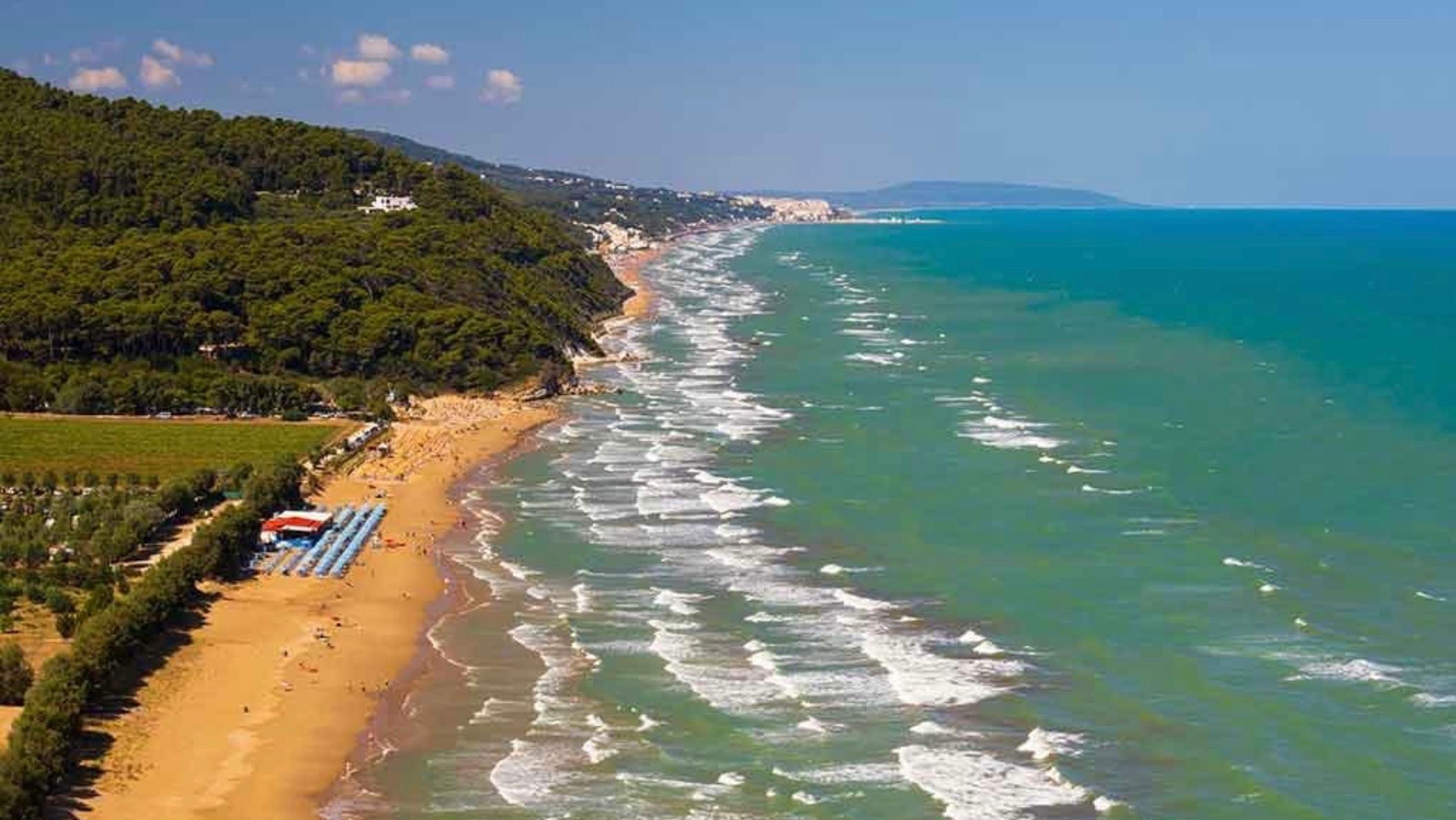 a spiaggia di Calanella, nel Gargano, offre sabbia dorata, acque cristalline e natura incontaminata