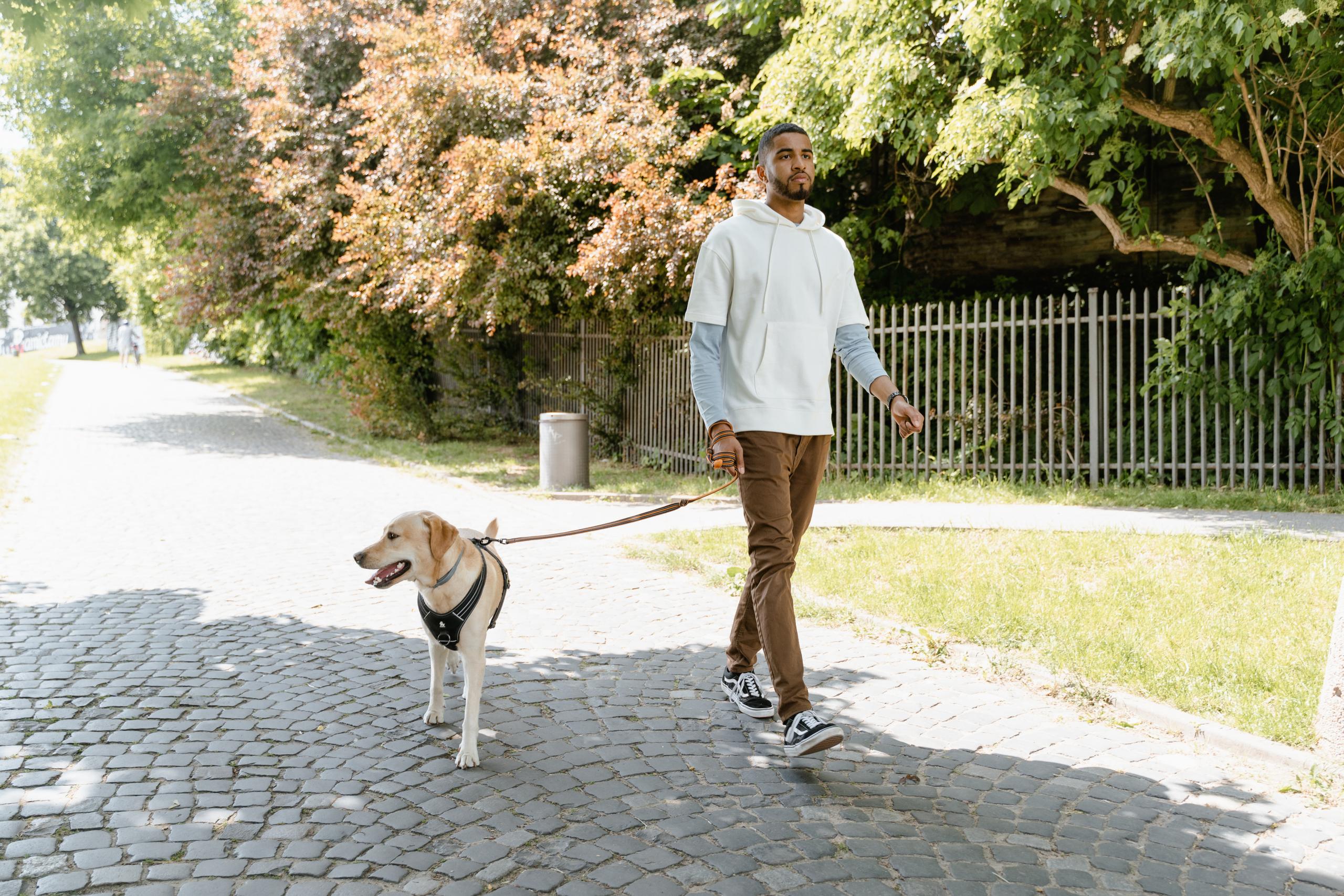 proprietario porta cane passeggiata al guinzaglio