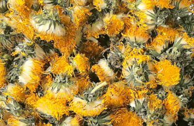 Fiori di Tarassaco disidratati 20g