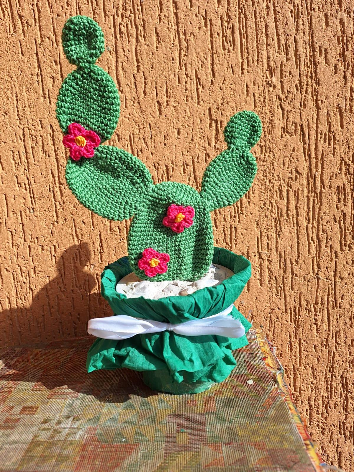 Ferma porta a Cactus