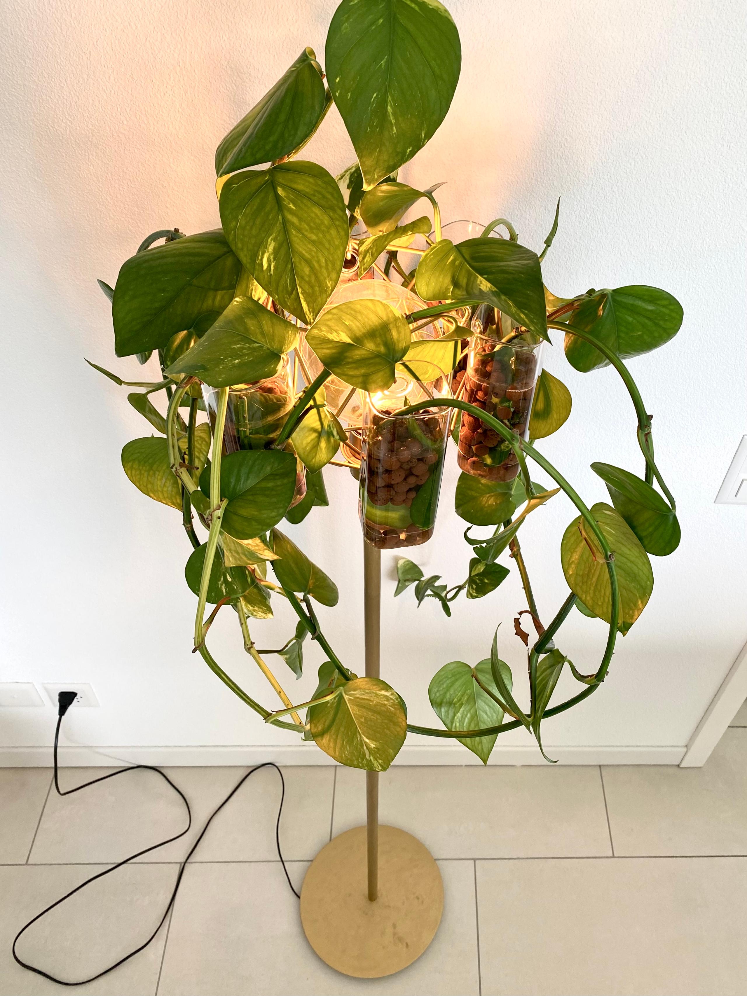 Floor Lamp with plants NATURA