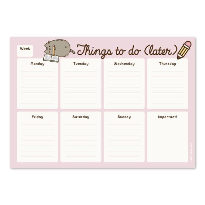 Planning Pusheen Pink A4