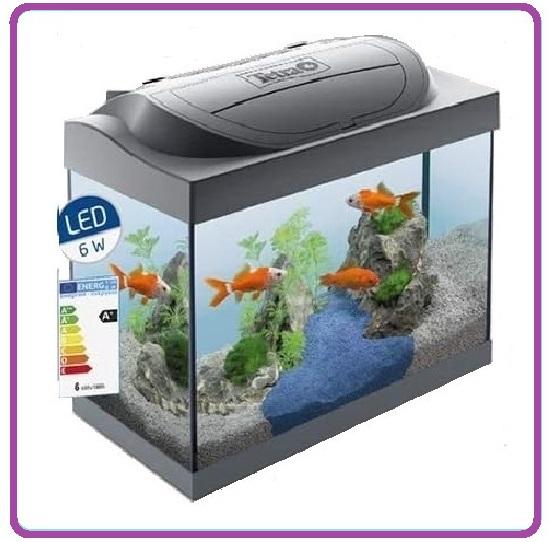 HOBBY... ACQUARIOFILIA... ACQUARIO TETRA Starter Line Led Goldfish 30  Litri.