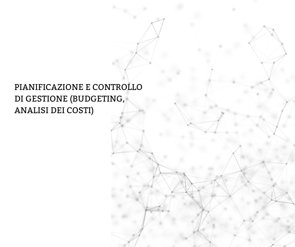 -	pianificazione e controllo di gestione (budgeting, analisi dei costi)