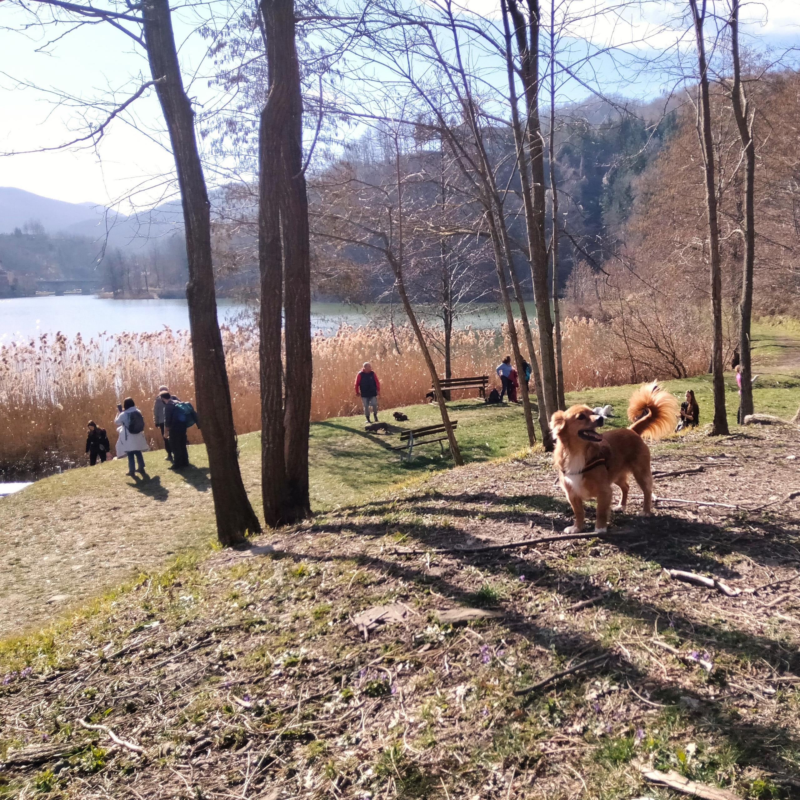 Lago di Castel dell'Alpi