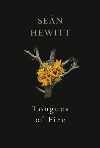 Copertina di "Tongues of Fire" di Seán Hewitt