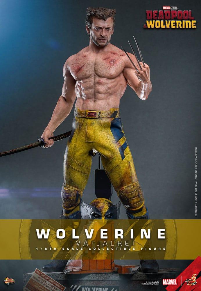 Hot Toys WOLVERINE Deadpool TVA JACKET VERSION 1/6 Action FIGURE Doll