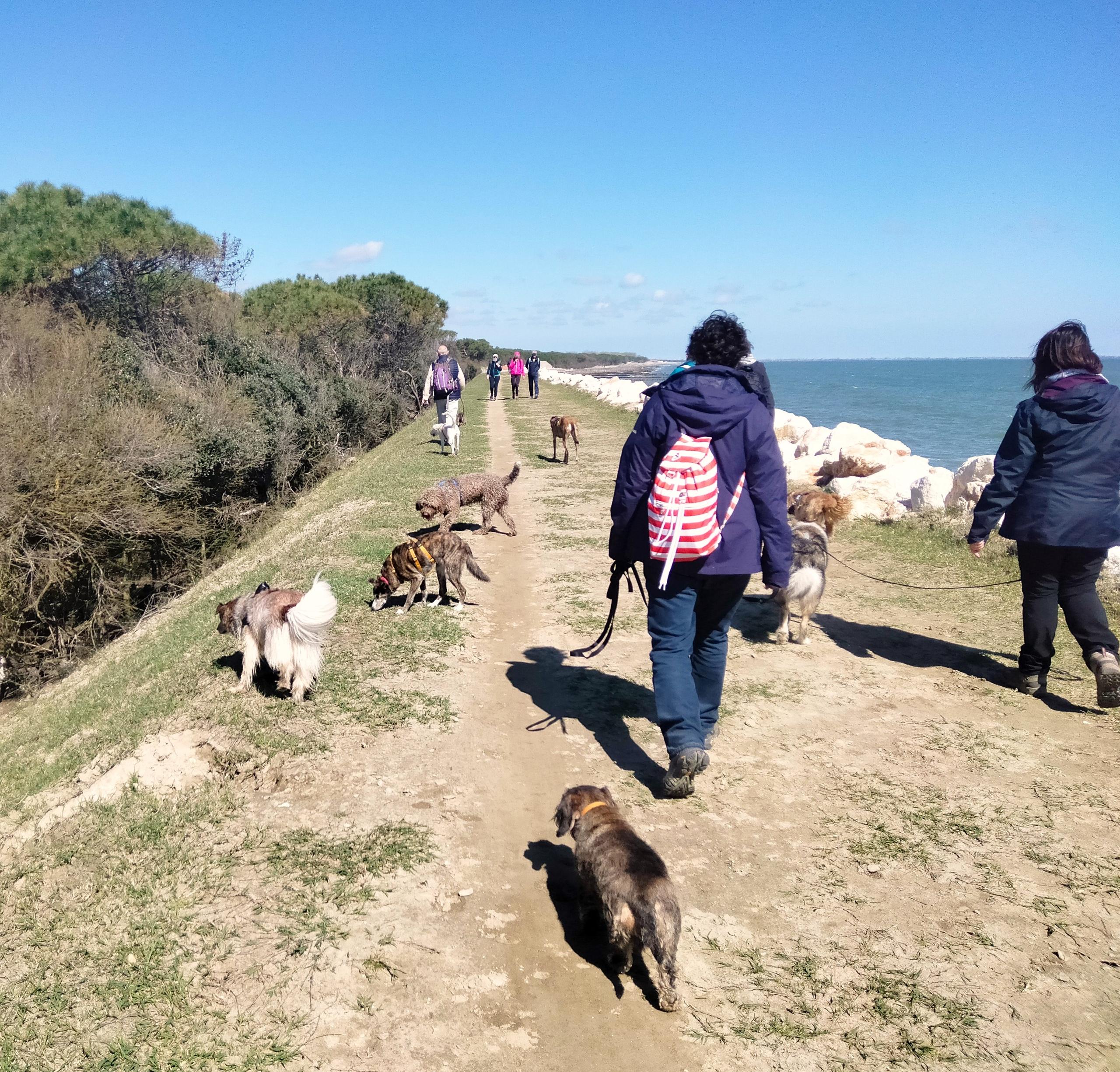 Lido delle Nazioni