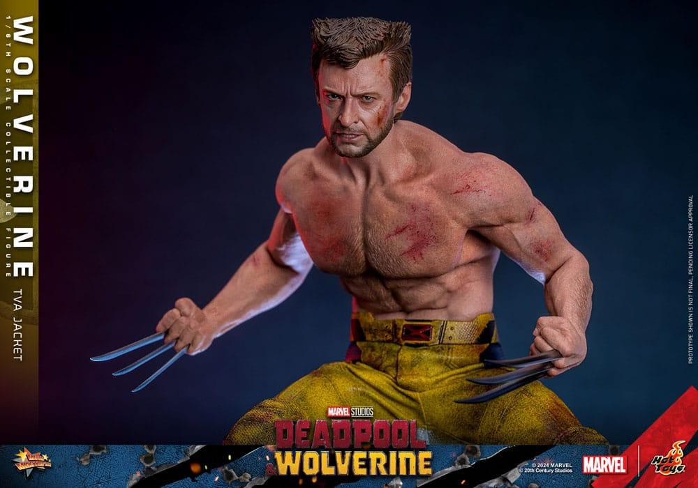 Hot Toys WOLVERINE Deadpool TVA JACKET VERSION 1/6 Action FIGURE Doll