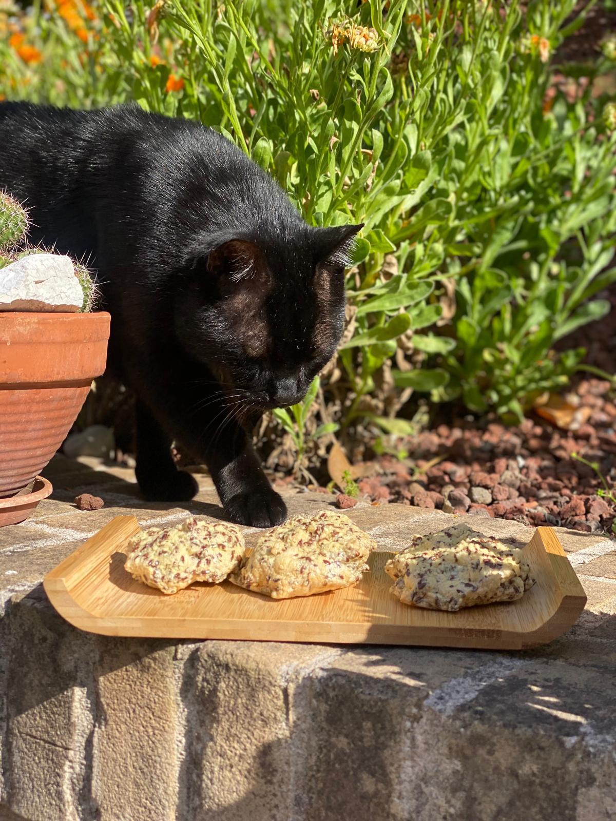 nuvole-proteiche-albume-uovo-semi-di-lino-chia-pane