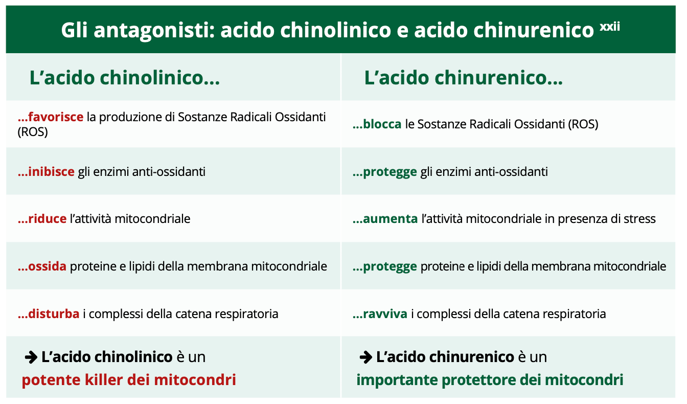 Screenshot 2023-05-14 alle 082533png