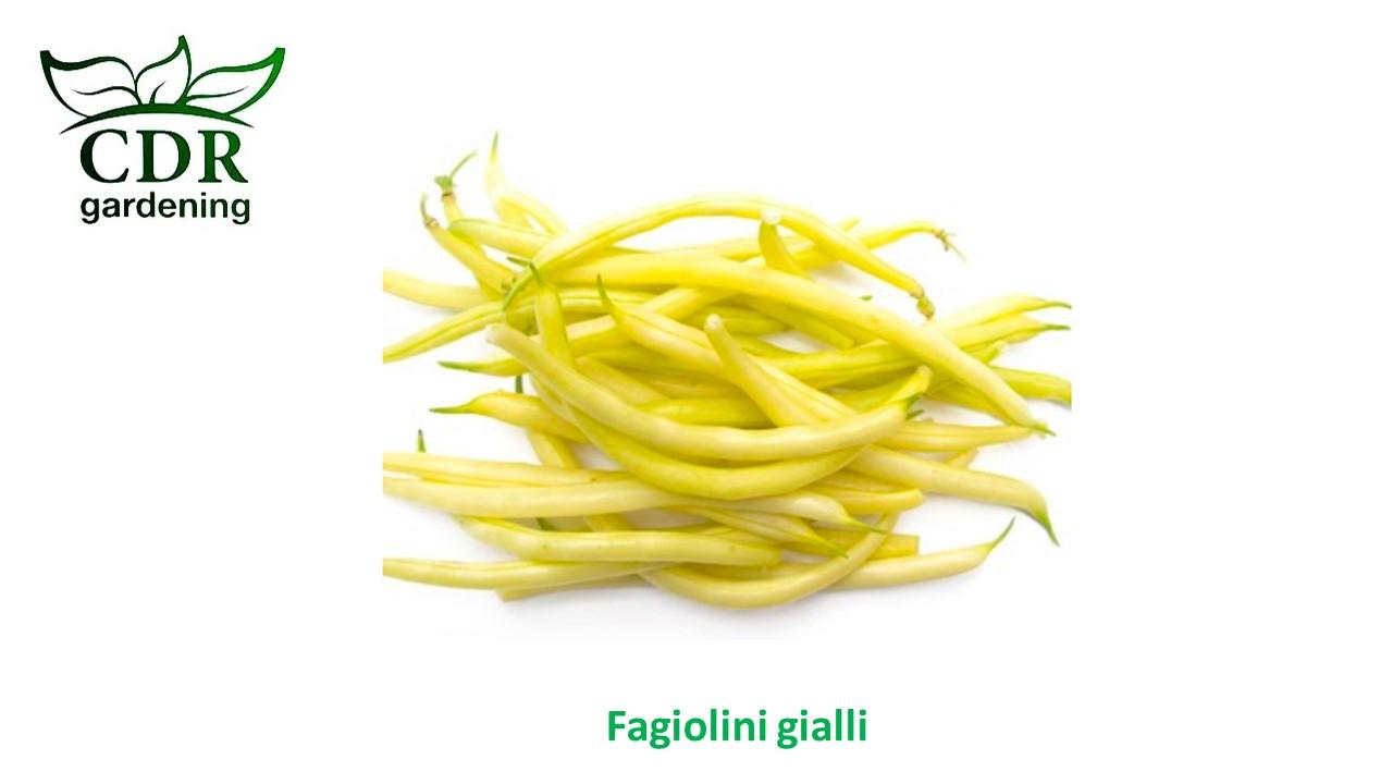 Fagiolini gialli