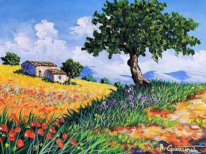 Primavera in collina Olio su tela 30 x 40 cm