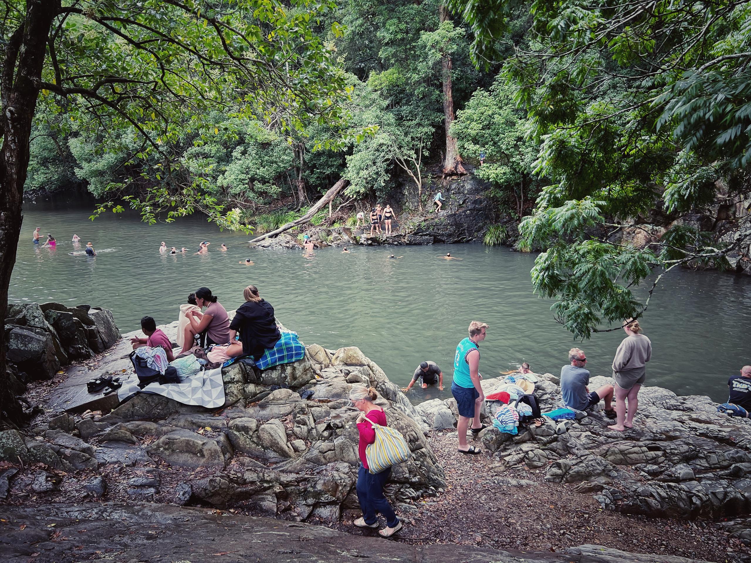 Springbrook National park tra mare e colline un caleidoscopio di colori - day 40