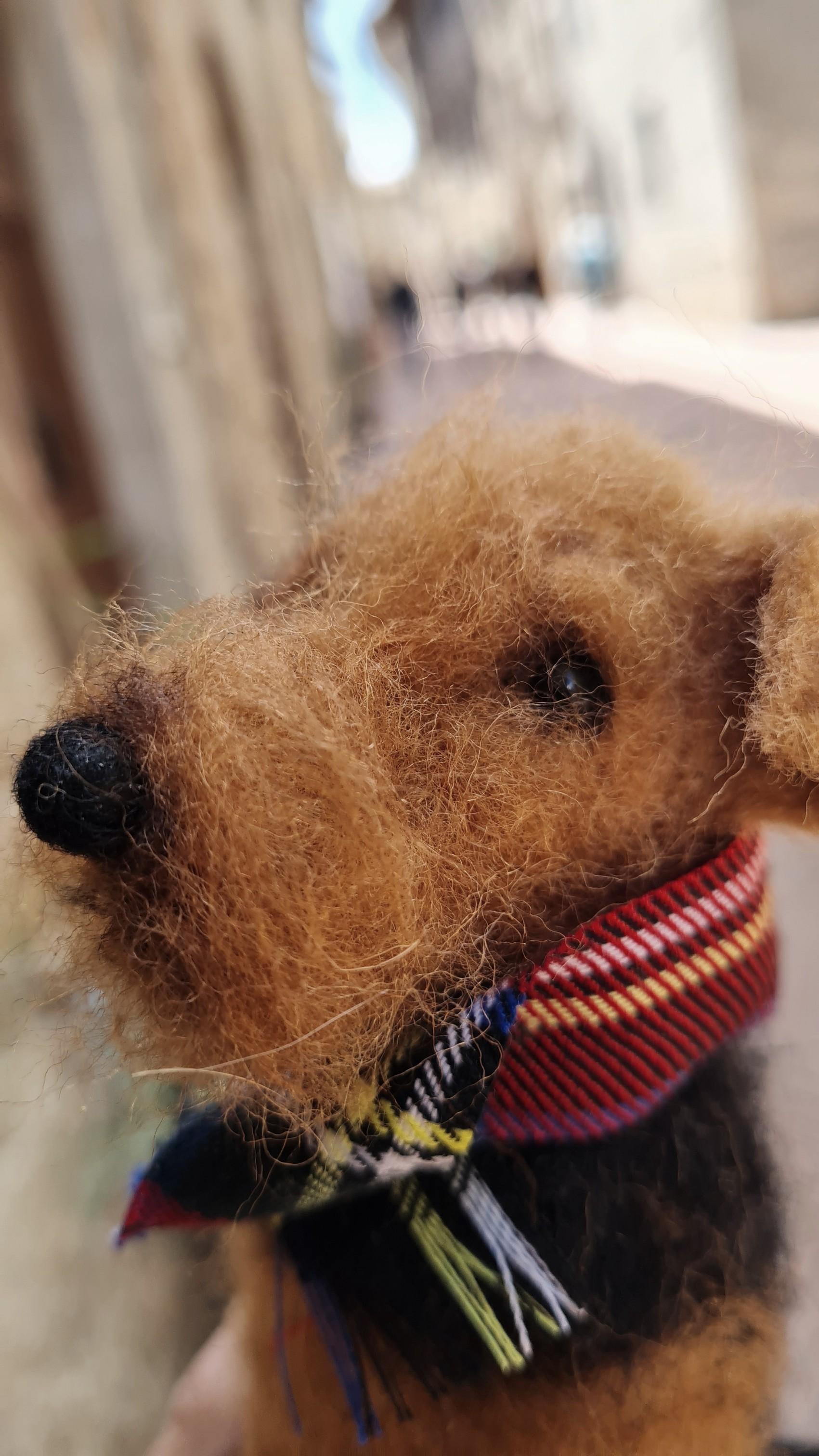 Airedale Terrier