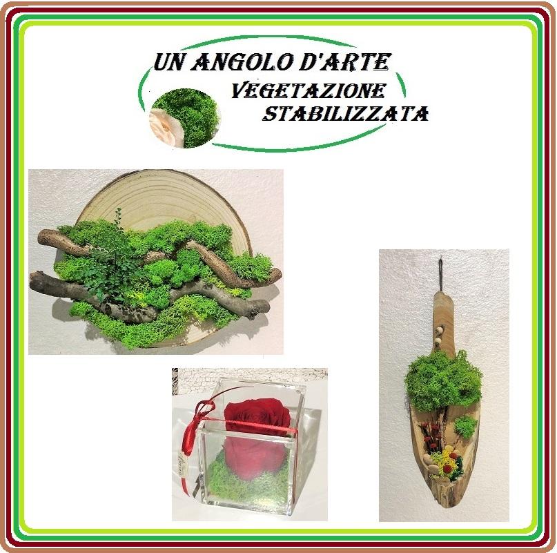 A.. ANGOLO DELL' ARTE... LA VEGETAZIONE STABILIZZATA