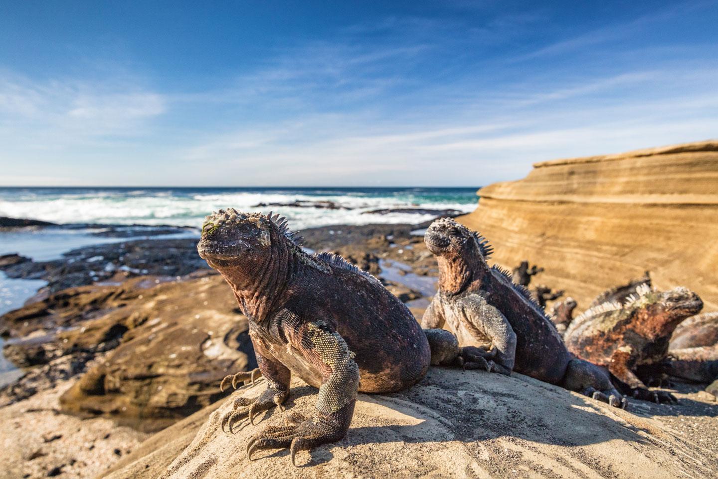 GALAPAGOS - ECUADOR