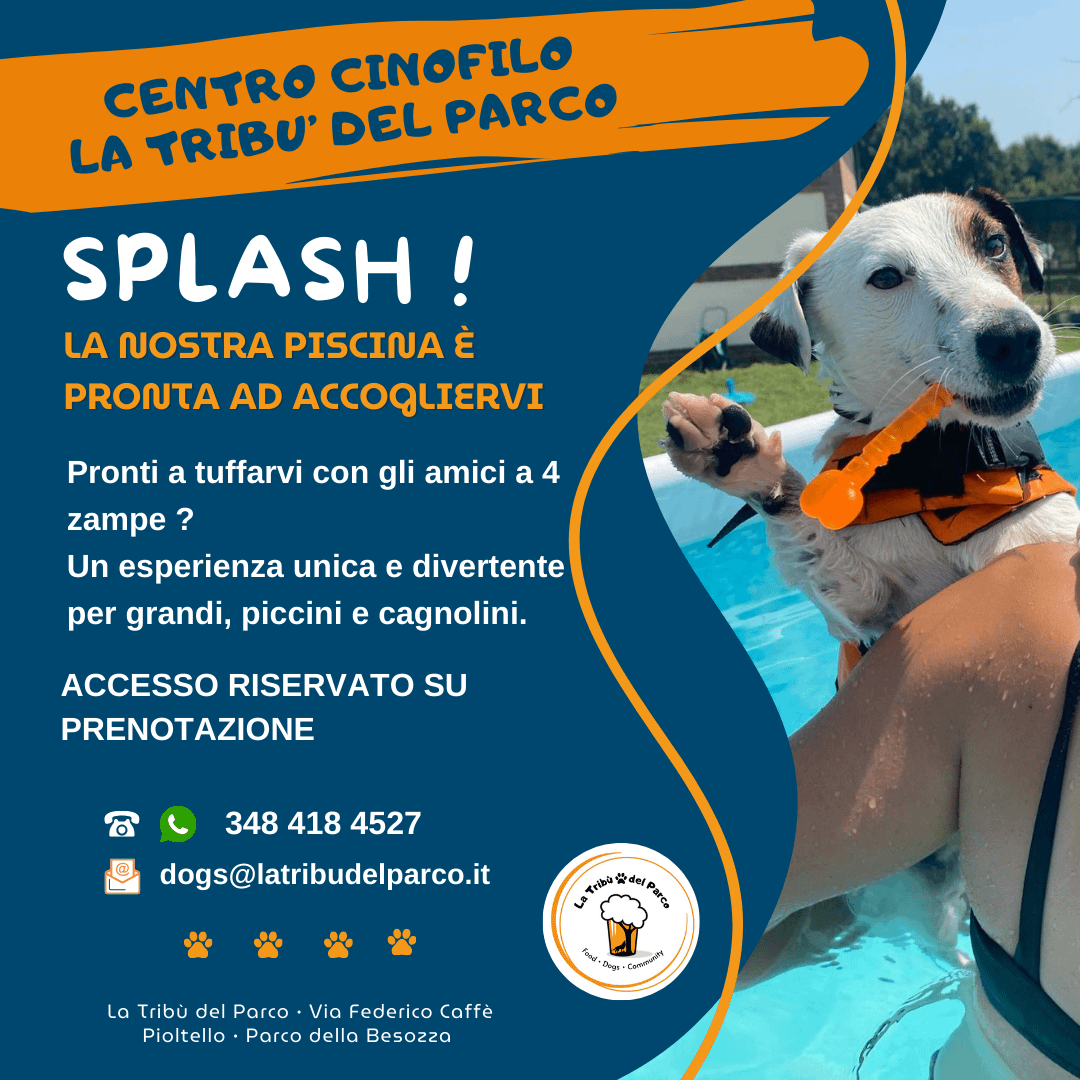 centro cinofilo milano, asilo per cani, sport cinofili, obedience,  disc dog, mantrailing, eventi cinofili milano, dog sitter milano, asilo per cani, piscina per cani, milano