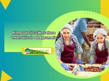 Fisascat Verona.Rinnovo Contratto CCNL Ortofrutticolo e Agrumarie