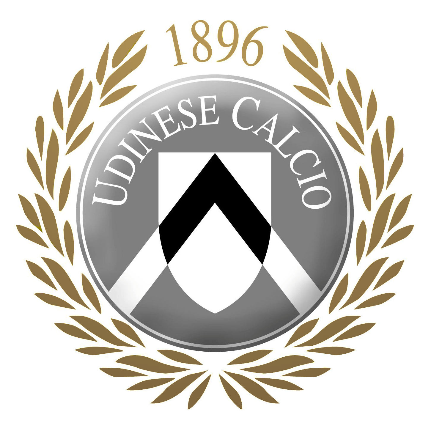 UDINESE CALCIO è una società di calcio professionistico