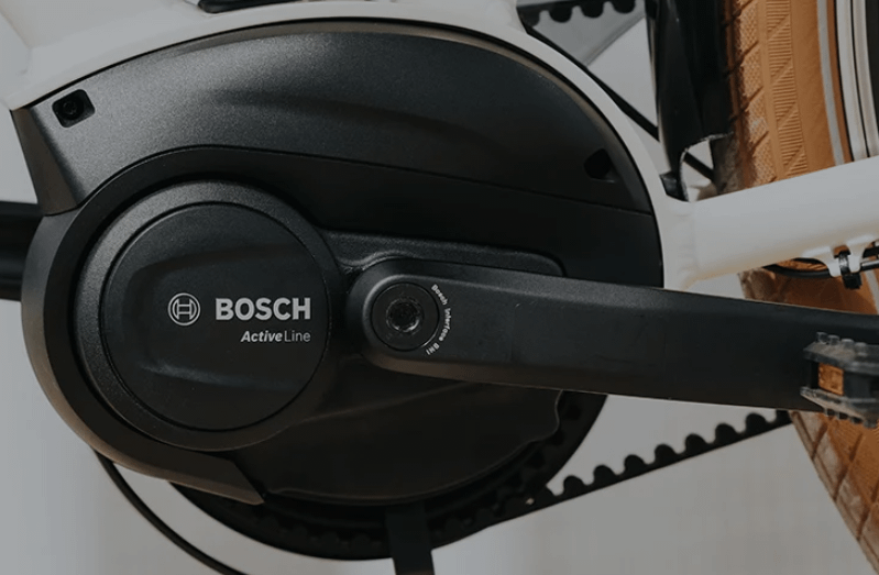 Tagliando e-bike con sistema Bosch 