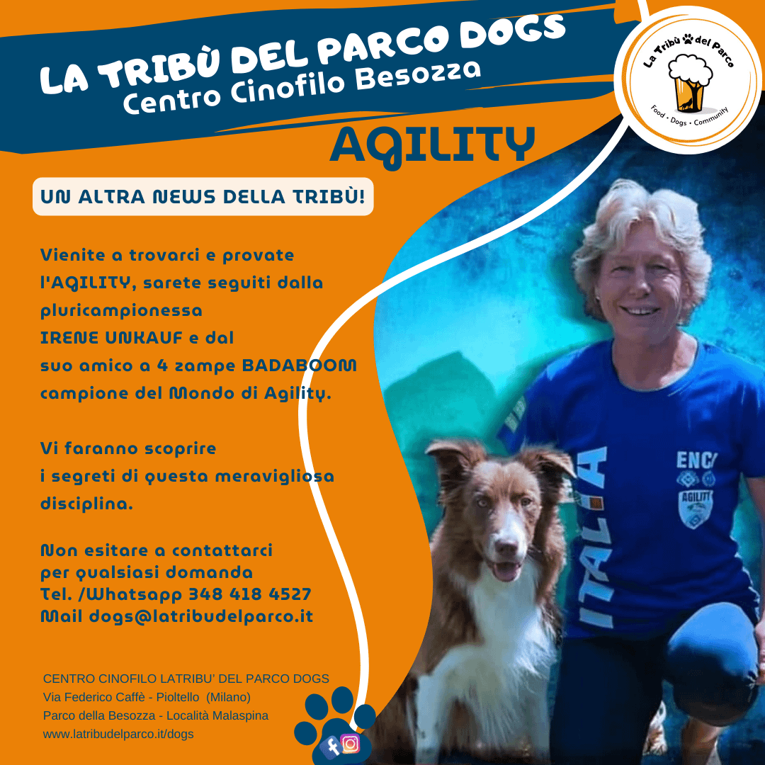 dog sport milano, agility, asilo cani milano, dog asilo, milano, sport cinofili milano, disc dog, agility dog, centro cinofilo, centro cinofilo pioltello, centro cinofilo milano, centro cinofilo besozza, taxi bau, dog taxi, cani, come gestire un cane, istruttore cinofilo milano, istruttore cinofilo, pioltello