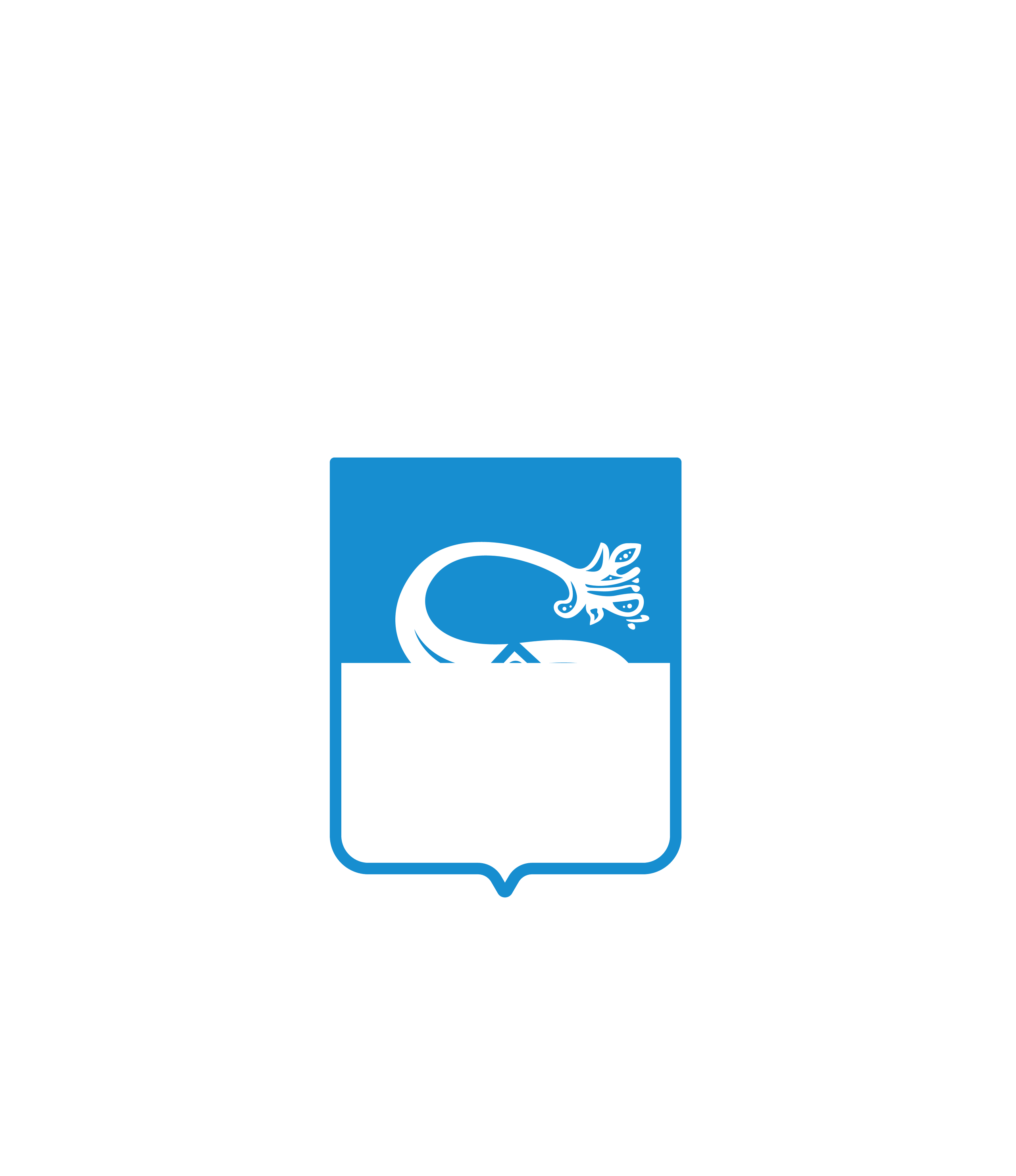 Saluzzo calcio