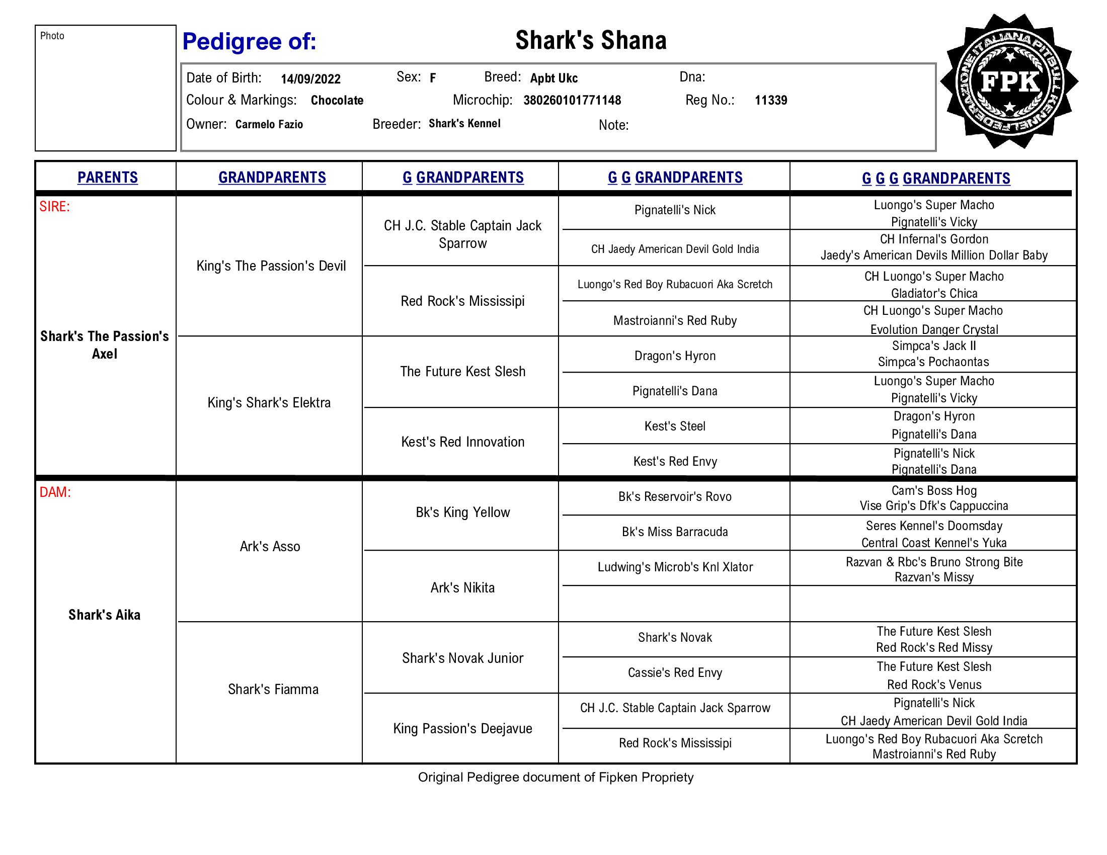 Shark's Shana
