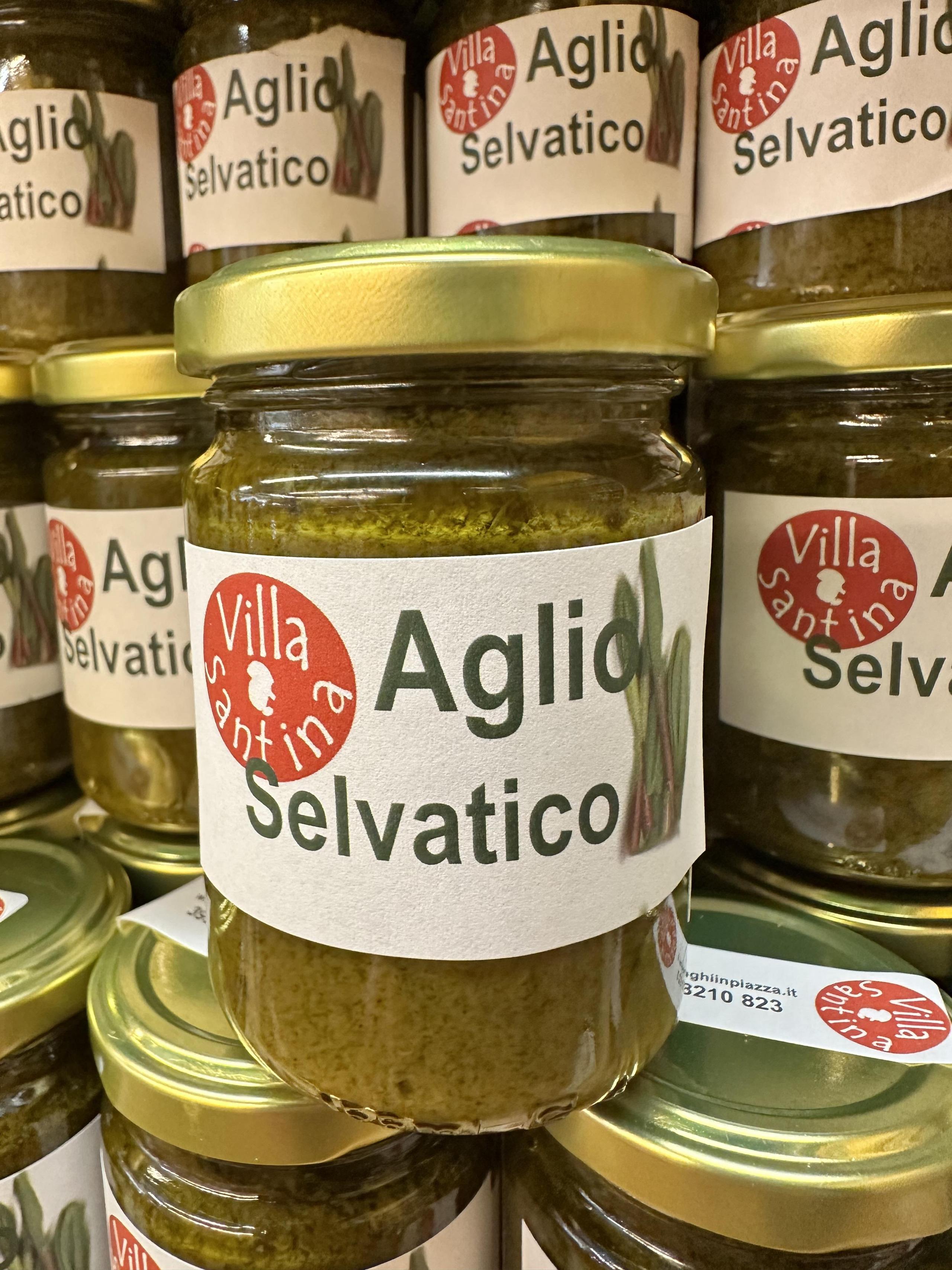 SALSA DI AGLIO SELVATICO