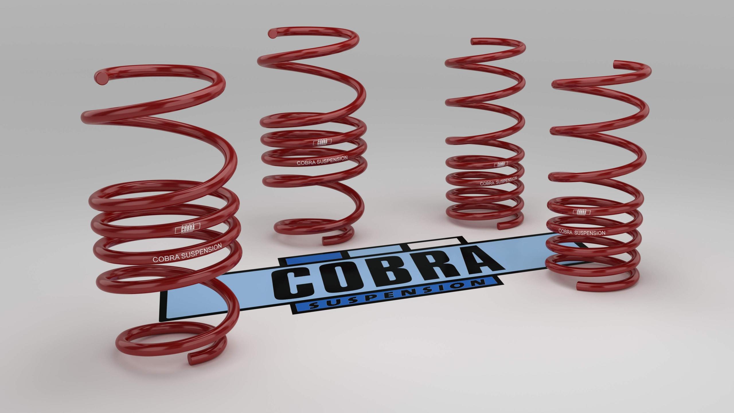 Cobrasuspension Springs VW Arteon 1.4 Hybrid Shooting Brake ( 30/30 ) 07.8375
