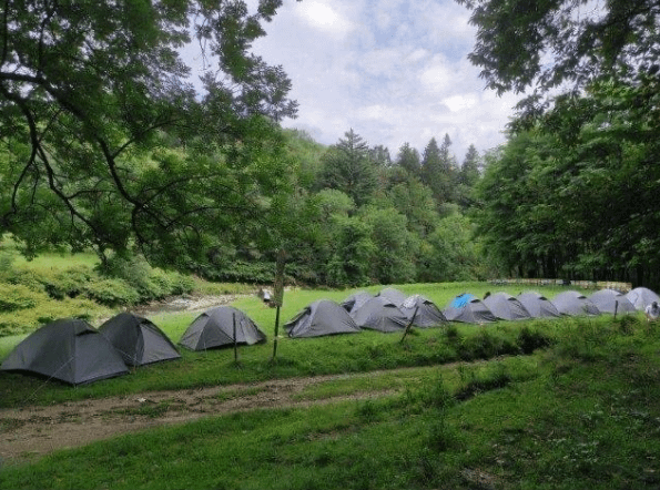 Foto di proprietà dell'Adventure Park Lago d'Orta LE PIGNE