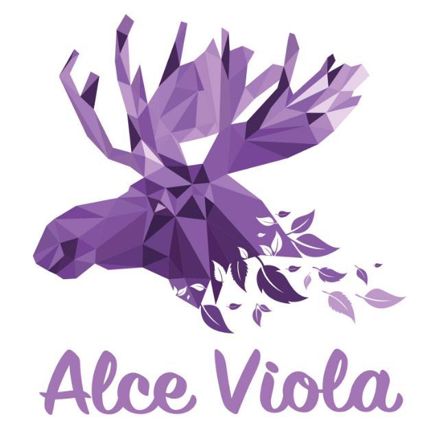 associazione alce viola ossola verbano cusio donna mamma maternità allattamento