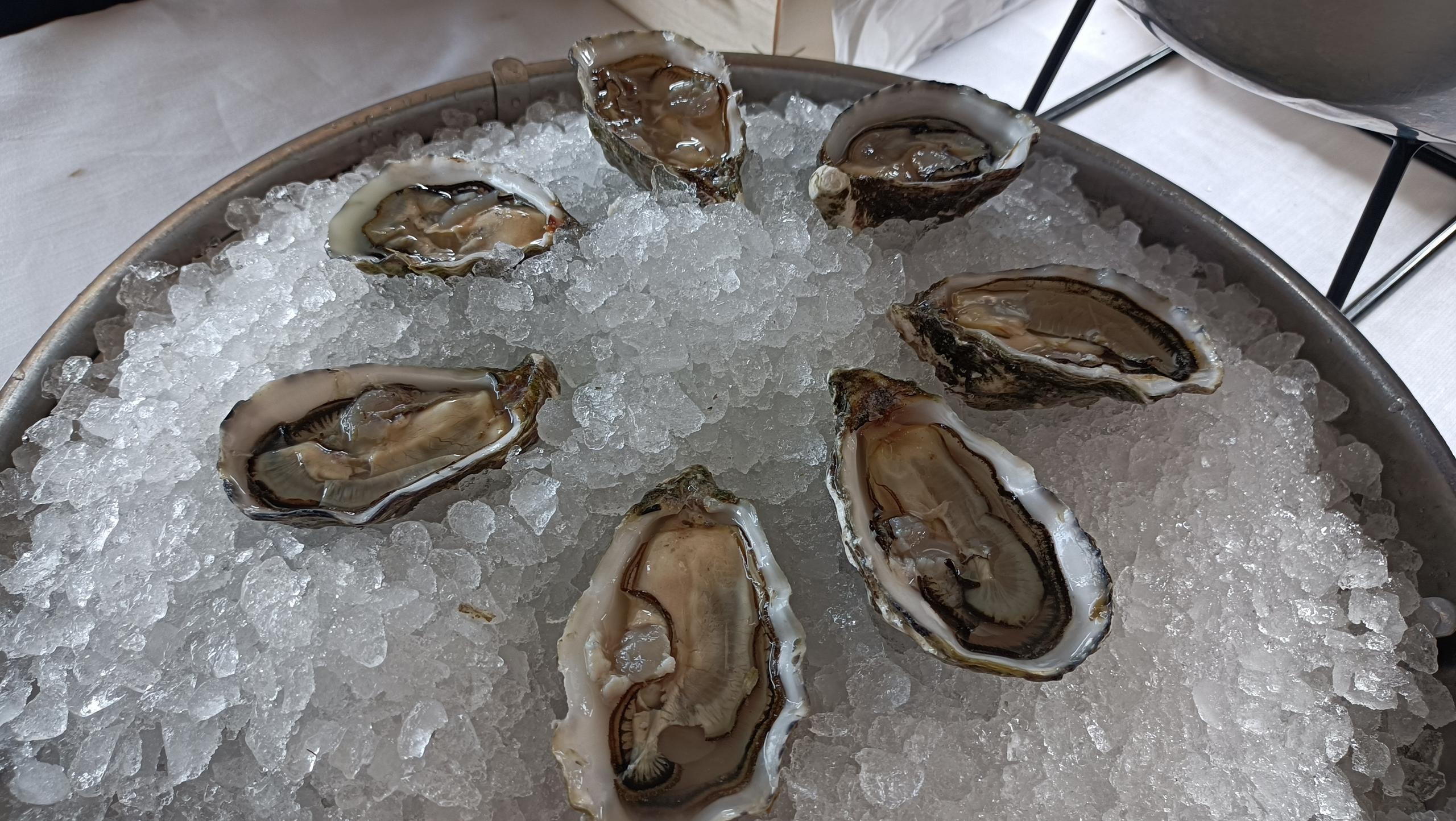 Oyster Experience