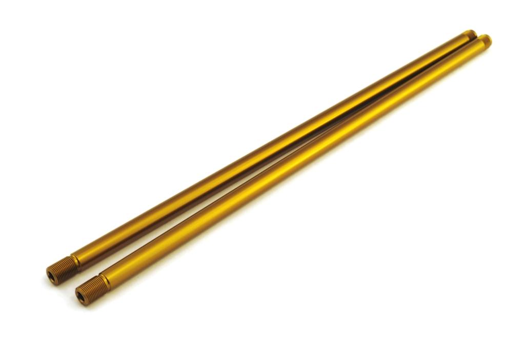 Asta pompante (coppia)
