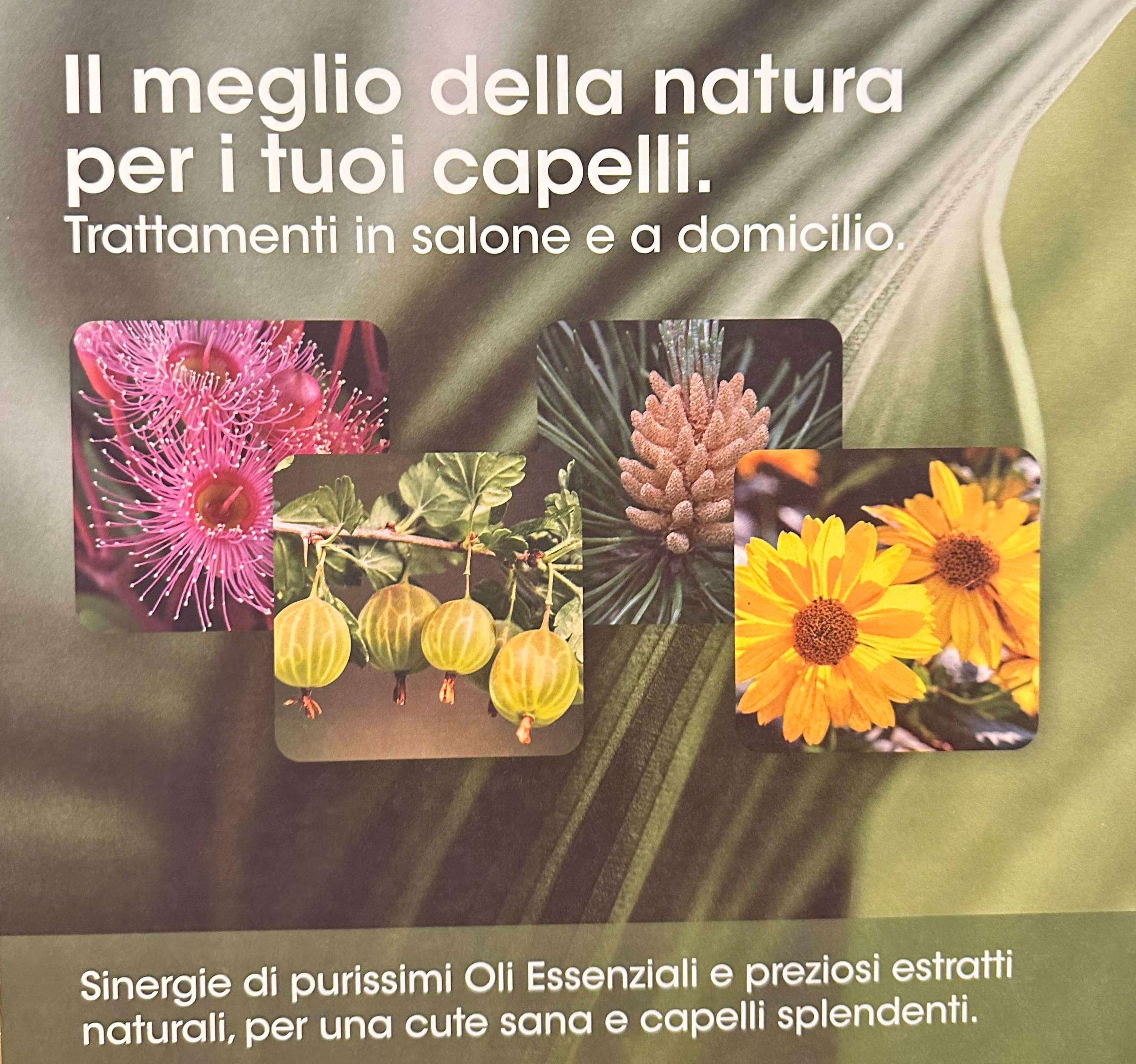 vengono utilizzati prodotti rispettosi del cuoio capelluto e dell'ambiente