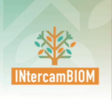 Workshop at FIMA – 27th April: Innovative practices for bioenergy and biochar from agricultural biomass