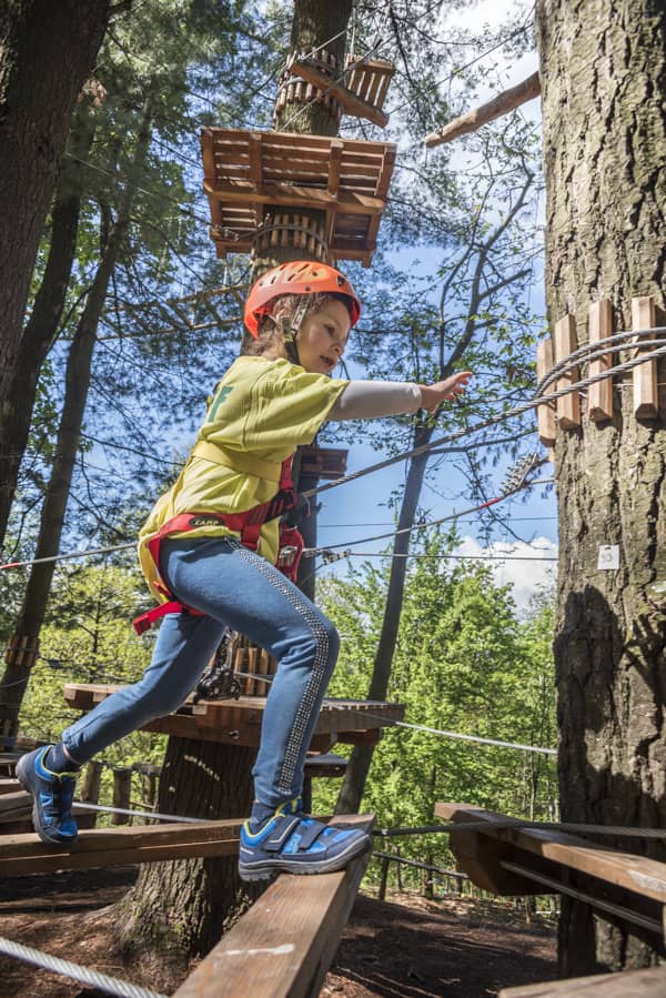 Foto di proprietà dell'Adventure Park Lago d'Orta LE PIGNE