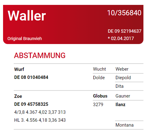 Waller - Matricola: DE 0952194637 - ORIGINAL BRAUNVIEH