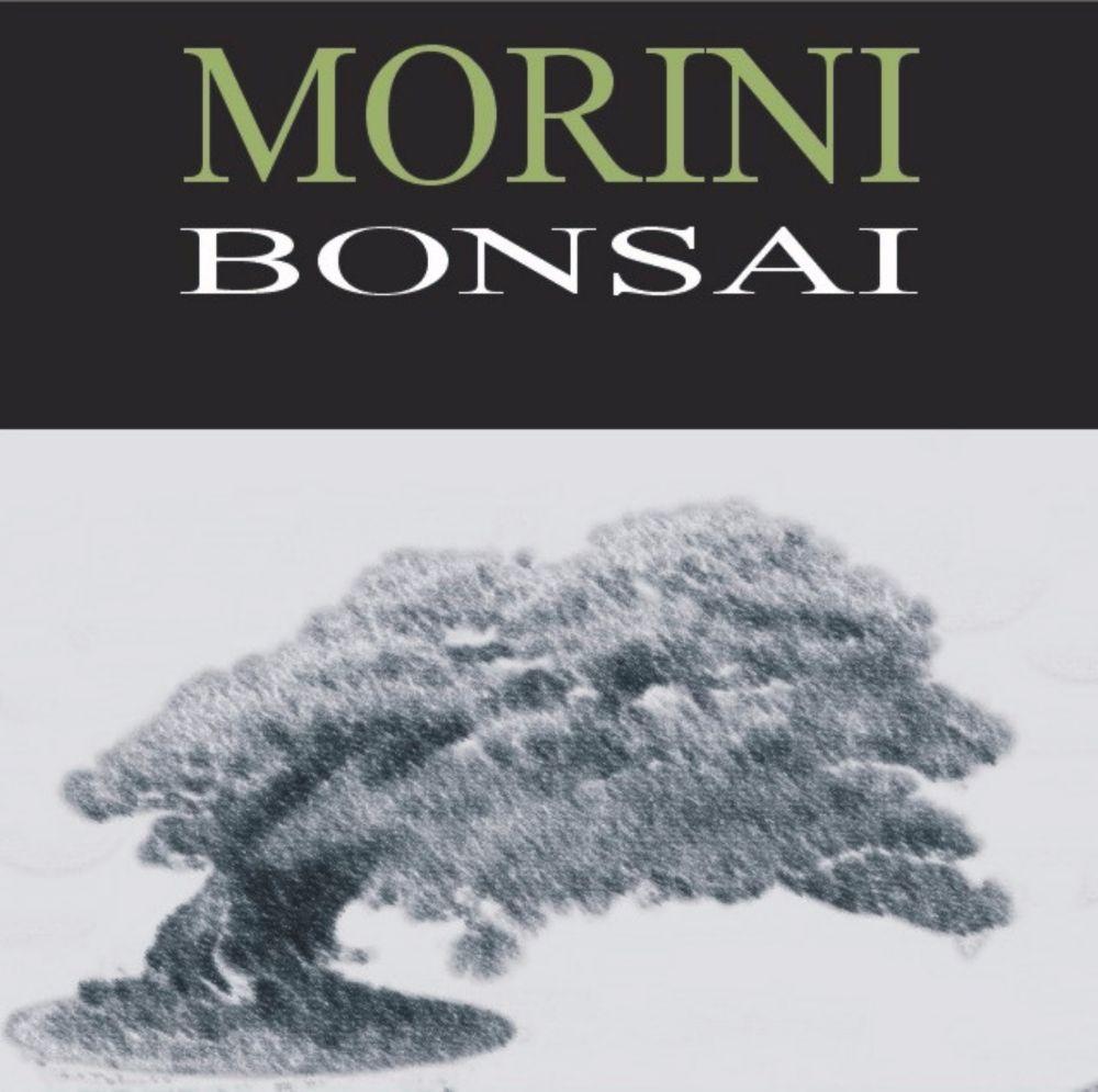 www.morinibonsai.it