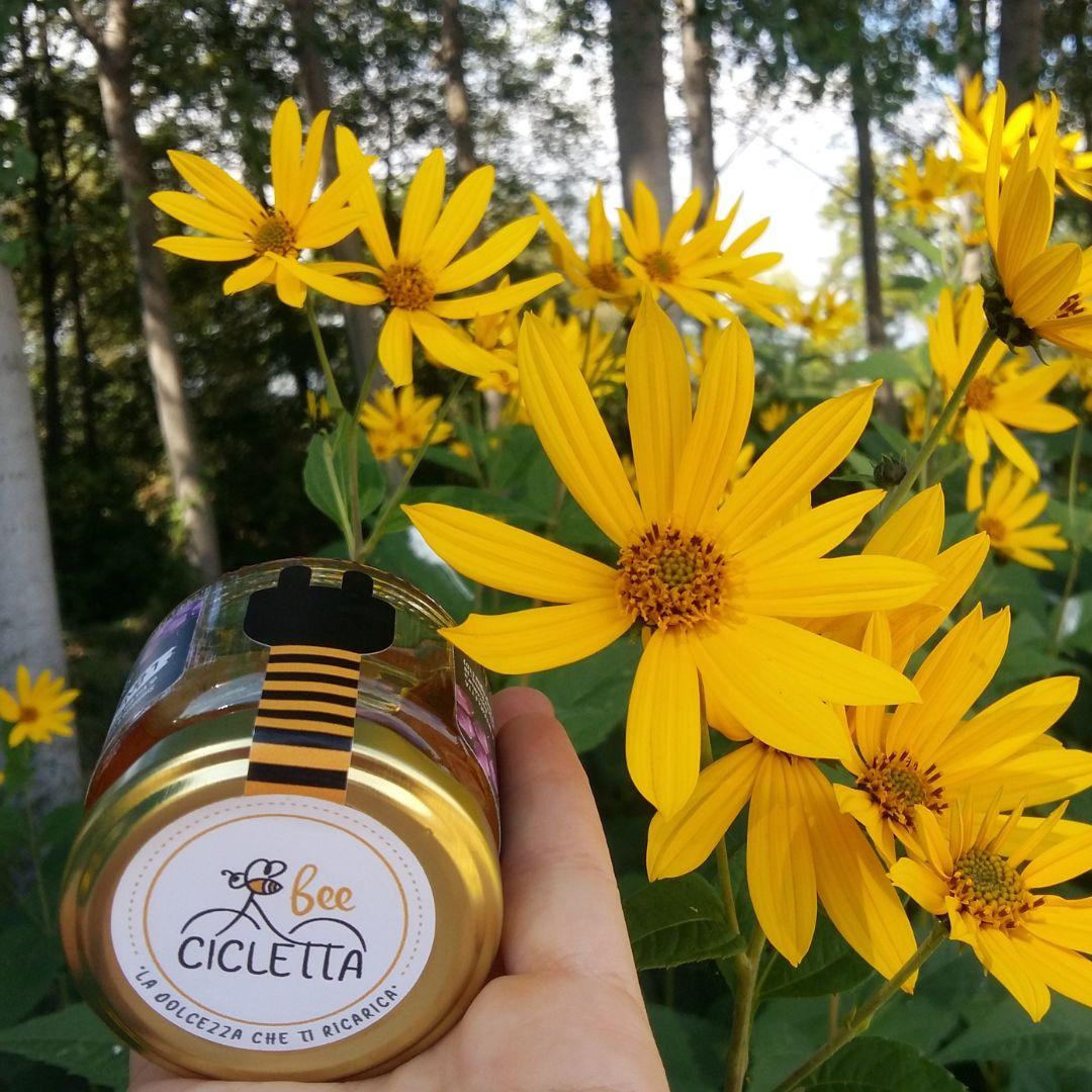 Miele Millefiori della val Pellice