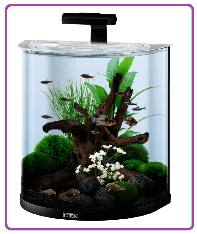 HOBBY... ACQUARIOFILIA... SET ACQUARIO TETRA  AquaArt Led Explorer Line da 60 l