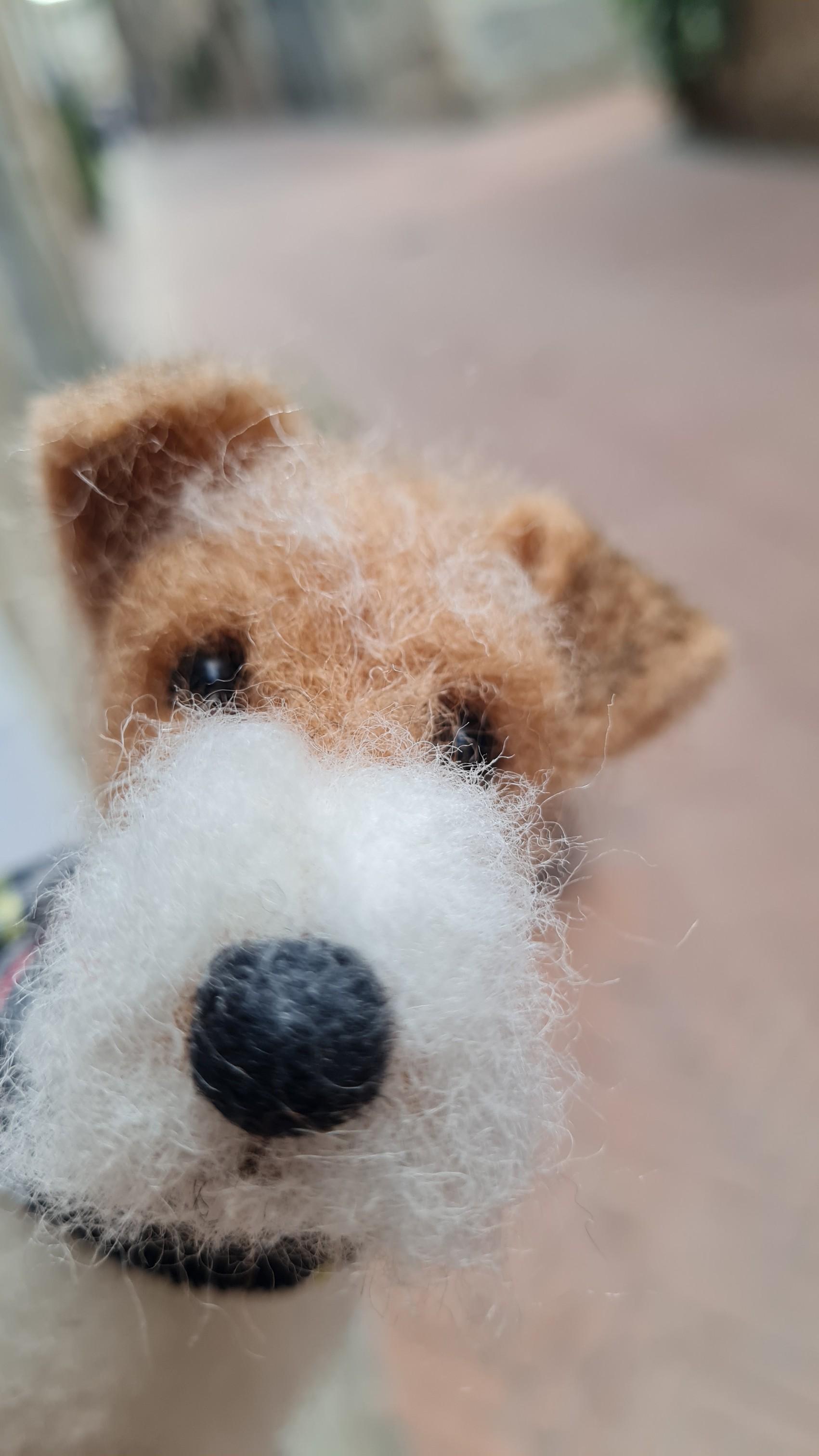 Fox Terrier