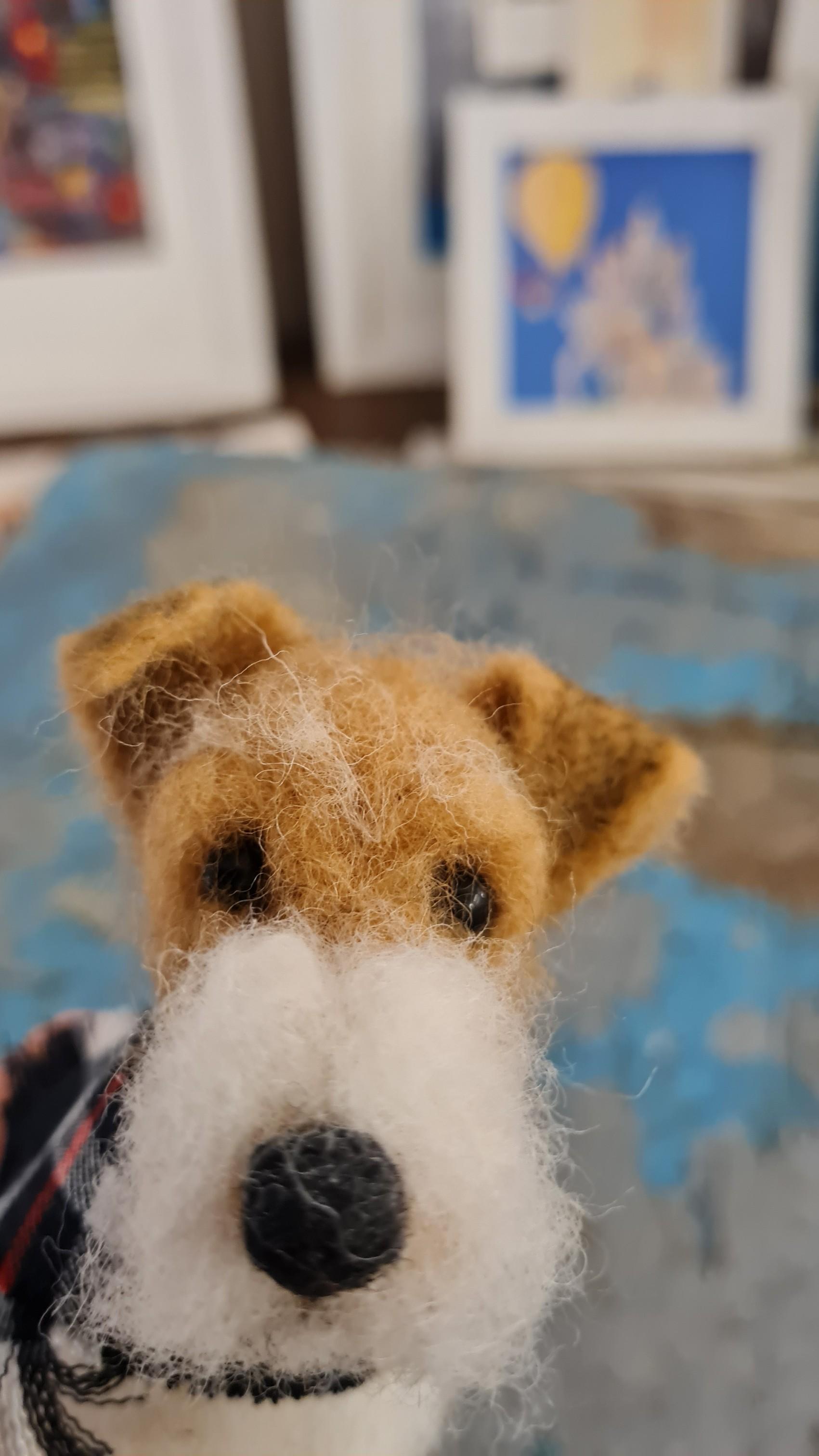 Fox Terrier