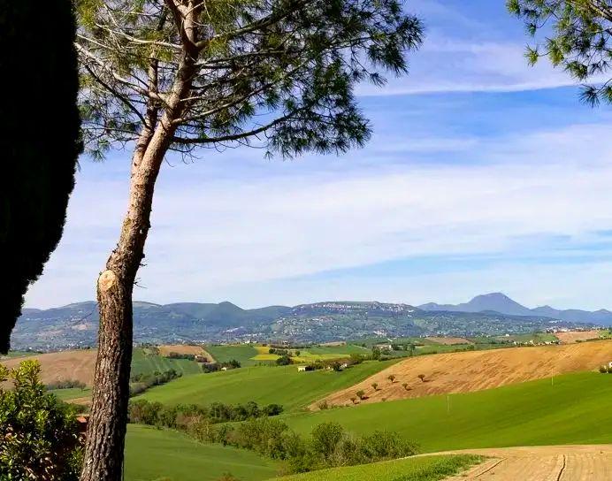 Casale Monte Amato vista sulle colline marchigiane